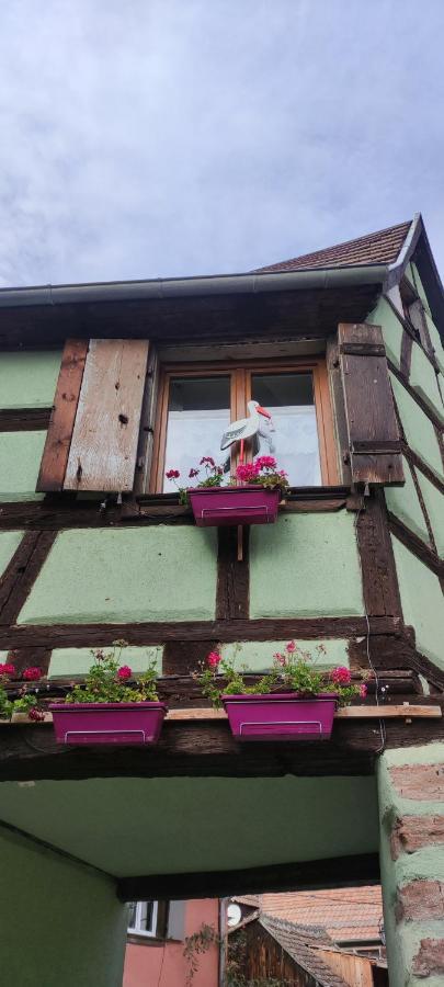 Gite Chez "Mamie Schlop" Kientzheim Exteriör bild