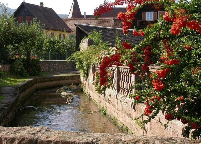 Gite Chez "Mamie Schlop" Kientzheim Rum bild