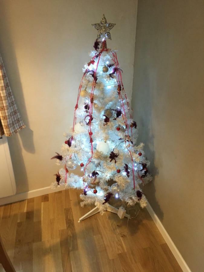 Gite Chez "Mamie Schlop" Kientzheim Exteriör bild