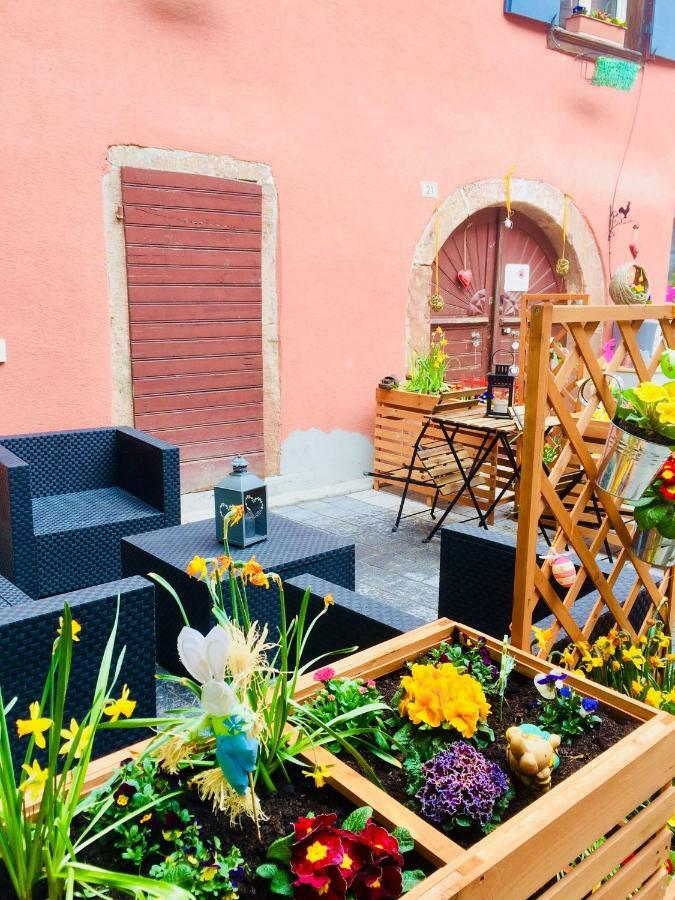 Gite Chez "Mamie Schlop" Kientzheim Exteriör bild