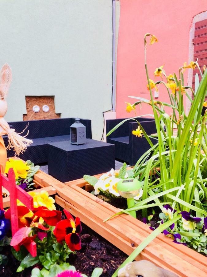 Gite Chez "Mamie Schlop" Kientzheim Exteriör bild